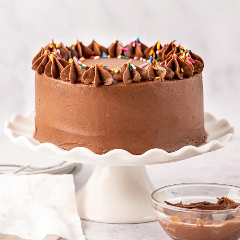 Petit gâteau au chocolat (gâteau de deux couches de 15 cm !)